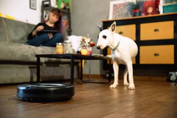 Do Robot Vacuums Fall Down Stairs