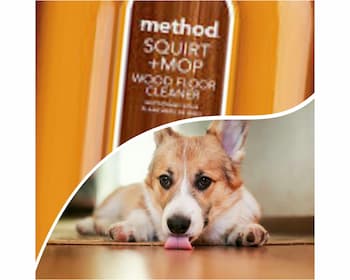 Is Method Squirt And Mop Pet Friendly